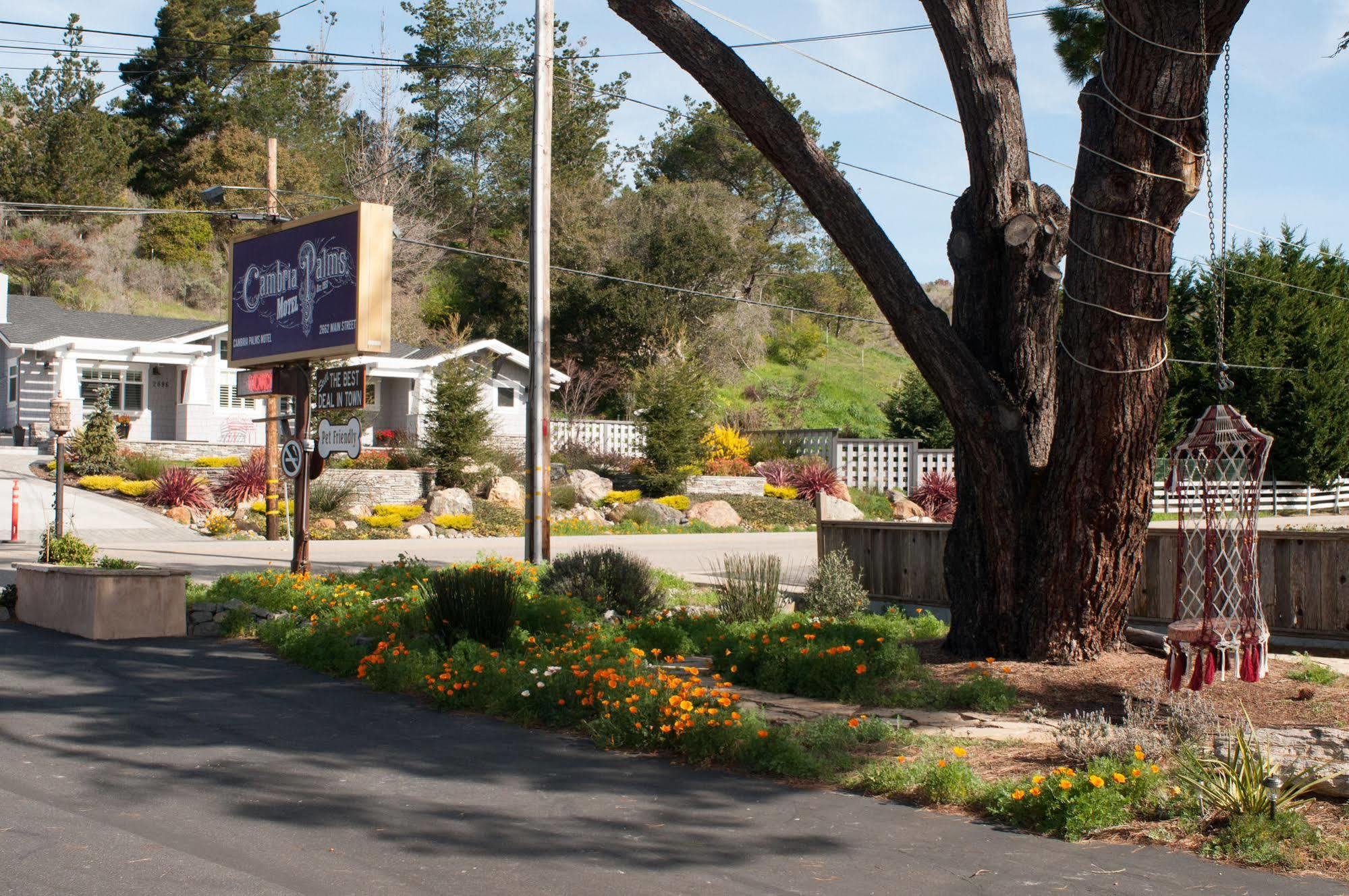 Cambria Palms Motel Екстер'єр фото